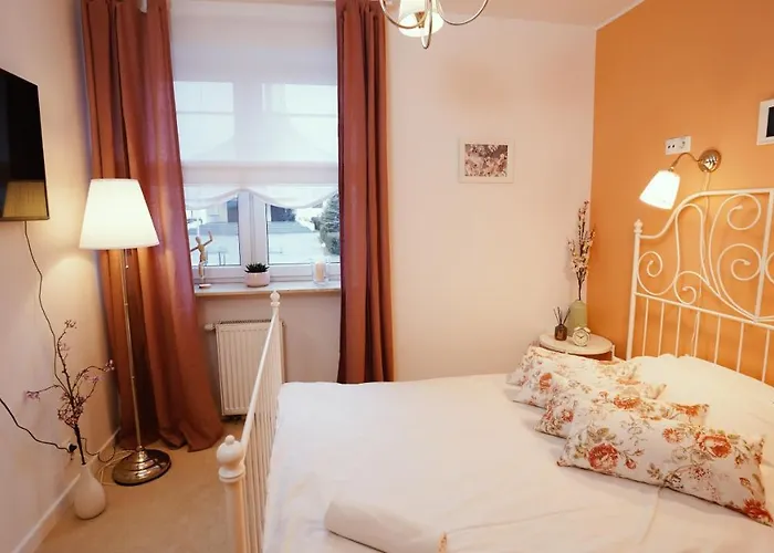 Mcew Studnia 4* Płock