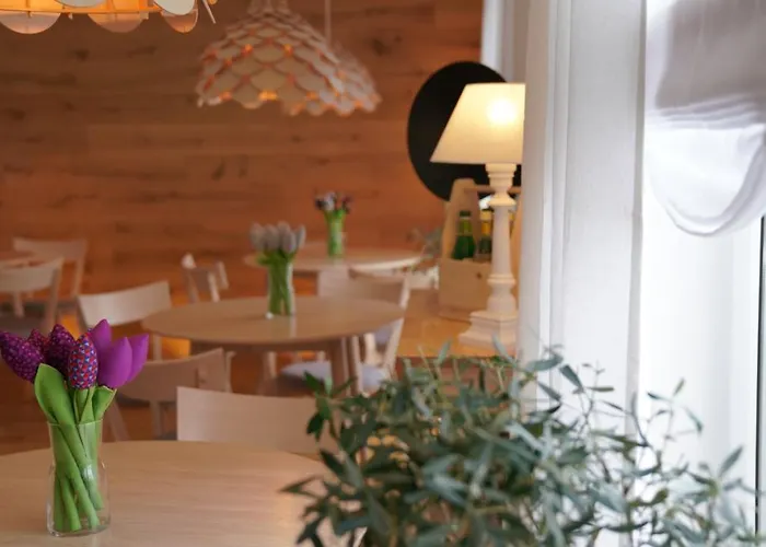 Panzió Mcew Studnia